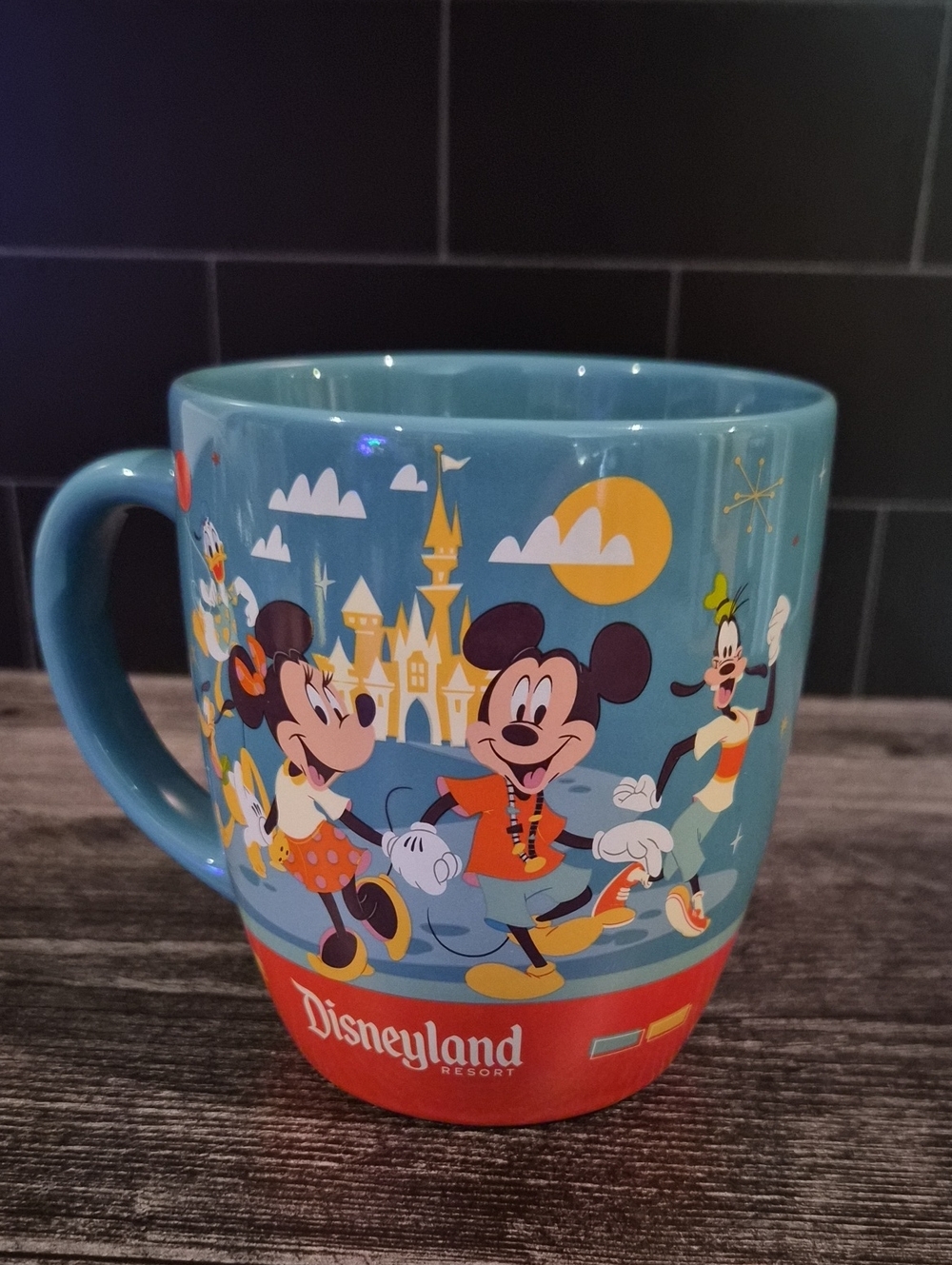 disney play at the park mug